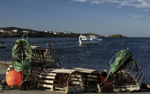 Lobster traps in Melrose. Photo credit: Bill Harris.